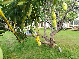 Four Points Resort - Anuradhapura