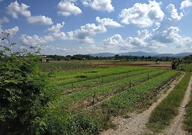 Farmstay at Pha Ma Chiangrai