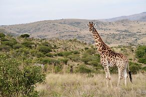 Valley Lodge - Babanango Game Reserve