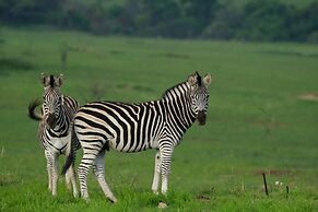 Valley Lodge - Babanango Game Reserve