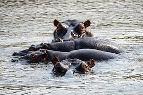 Valley Lodge - Babanango Game Reserve