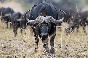 Valley Lodge - Babanango Game Reserve
