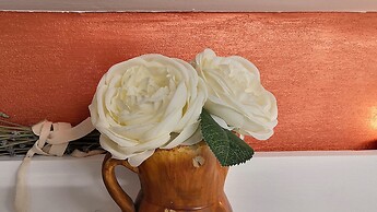 B&b La Camelia