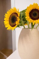 Aelios Design Hotel