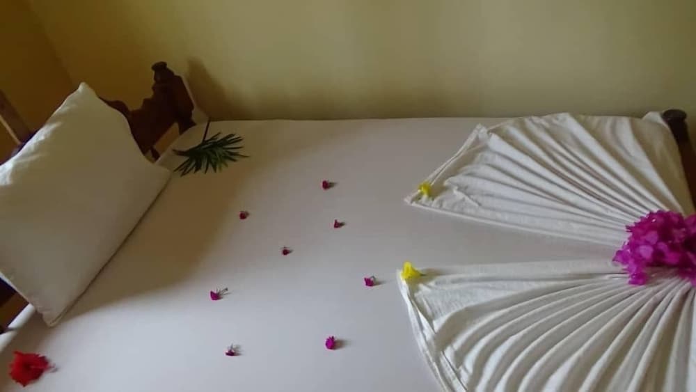 Spacious Dream House Paje