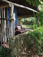 Chole Mjini