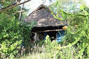 Chole Mjini