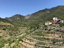Sandra Villa Rooms