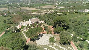 Cortijo LA Almazara
