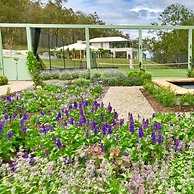 Winmark Wines