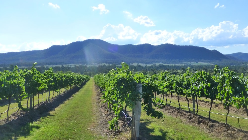 Winmark Wines