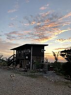 Okinawa Freedom