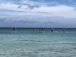 Okinawa Freedom