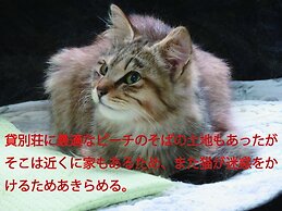 Okinawa Freedom
