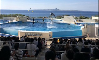 Okinawa Freedom