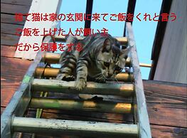 Okinawa Freedom
