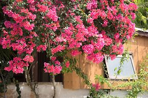 Guest house cago