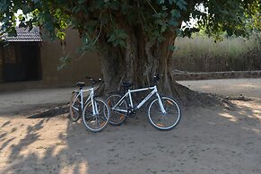 Maati Jungle Lodge