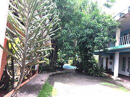 Trópico Mágico