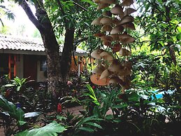 Trópico Mágico