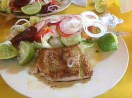 Hotel El Delfin