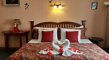 Hotel El Delfin