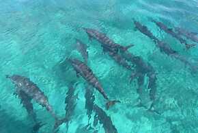 Fanhaa Maldives