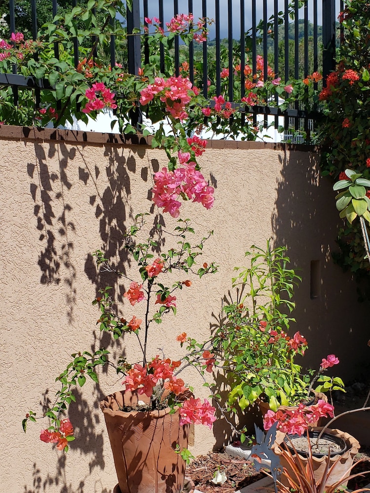 Millsborough B&B