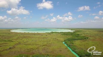 Alea Tulum