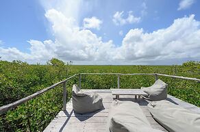 Vida Silvestre Tulum