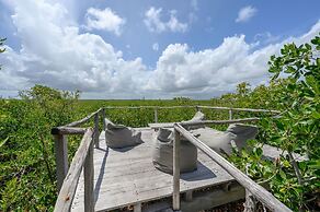 Vida Silvestre Tulum