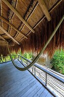 Vida Silvestre Tulum