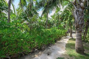 Vida Silvestre Tulum