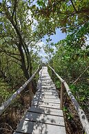 Vida Silvestre Tulum