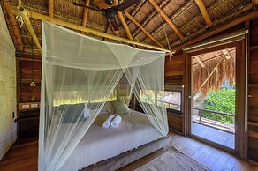 Vida Silvestre Tulum