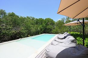 Vida Silvestre Tulum