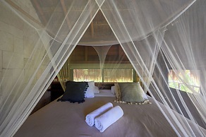 Vida Silvestre Tulum