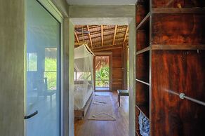 Vida Silvestre Tulum