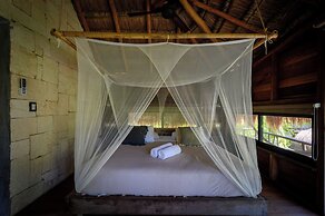 Vida Silvestre Tulum