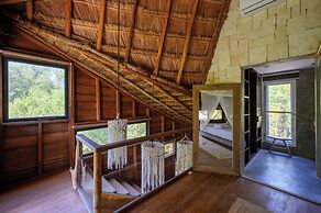 Vida Silvestre Tulum