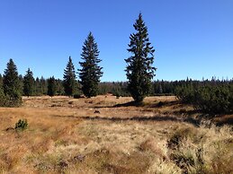 FeWo Waldheimat