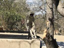 Lindiwe Safari Lodge