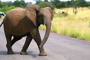 Lindiwe Safari Lodge