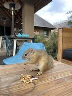 Lindiwe Safari Lodge
