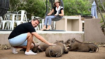 Lindiwe Safari Lodge