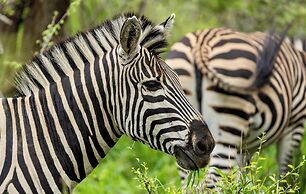 Lindiwe Safari Lodge