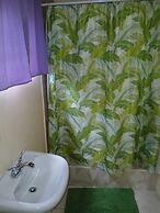 Viva Violas