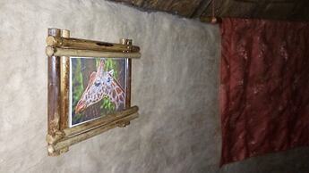 Grassroots Cottages & Tours