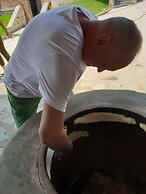 Babaneuris Marani