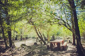 Llaima Camp